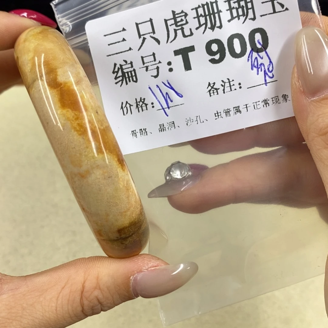 硅化珊瑚（珊瑚玉）1足银镀金镶嵌斟*