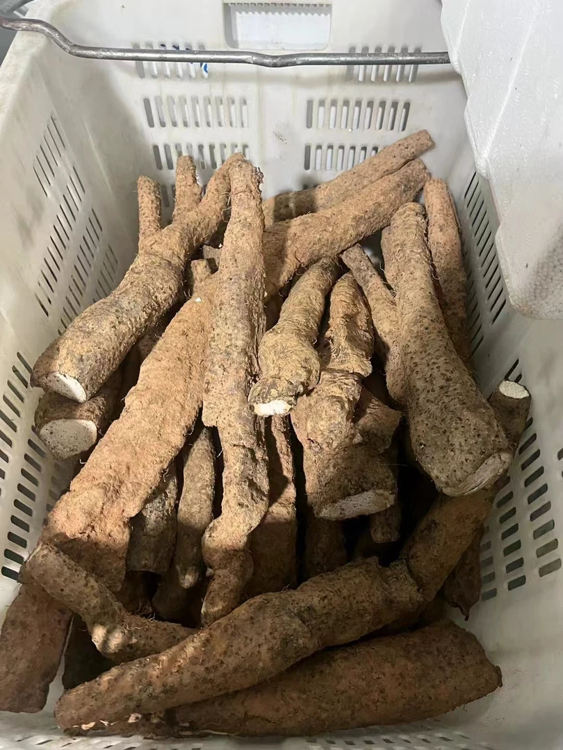 【赤皮淮山5斤/广东省内顺丰 京东包邮】潮汕赤皮淮山广东淮山山药