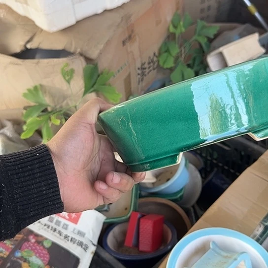是一个集休闲农业的休闲胜地以及现代生活和旅游