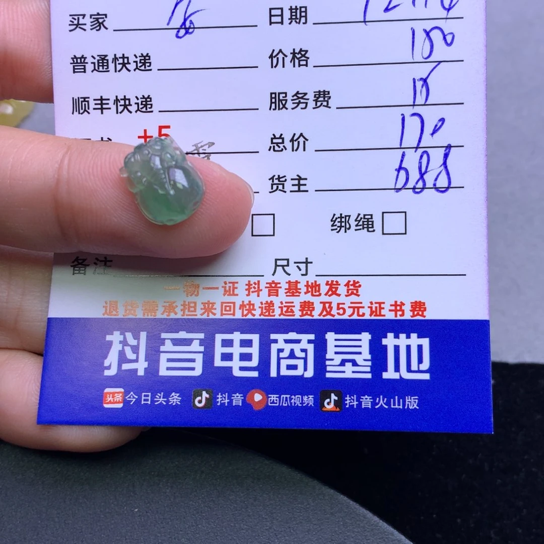颈饰未镶嵌翡翠安**v
