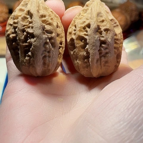 文玩核桃把件秋子差尺36+