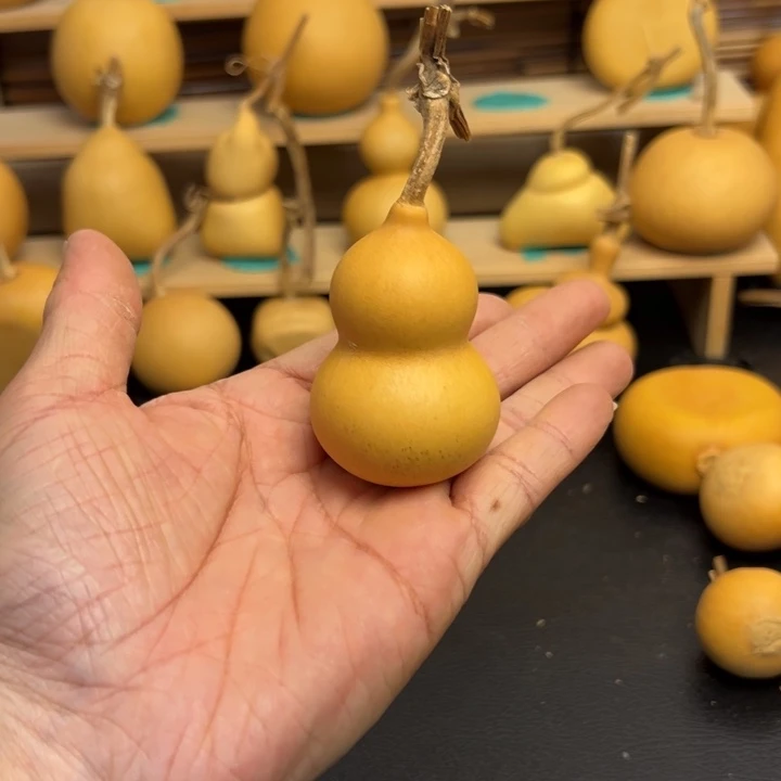 荔***.333666666966699