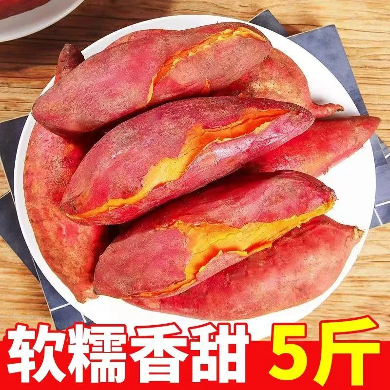 新鲜沙土地龙九蜜薯软糯香甜皮薄无丝农家自种现挖现发Z