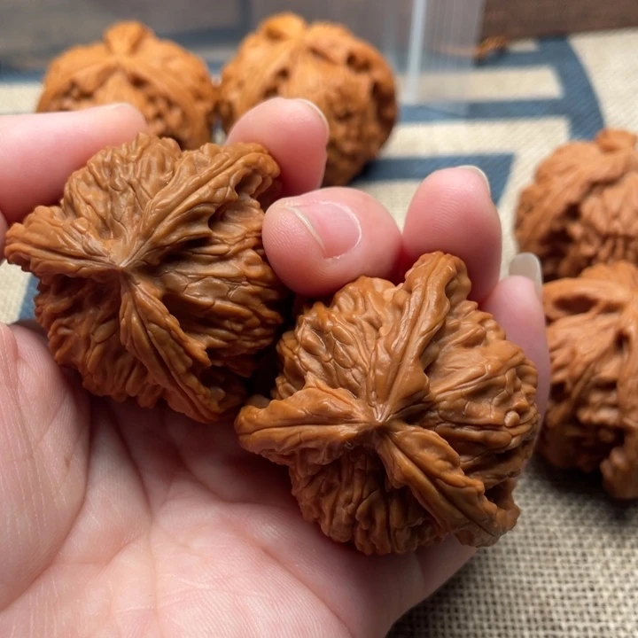 酒***溢核桃白狮子41核桃