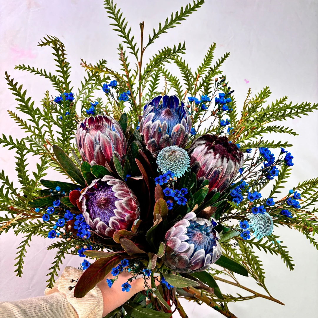 【星辰大海】南非进口花公主鲜花花束