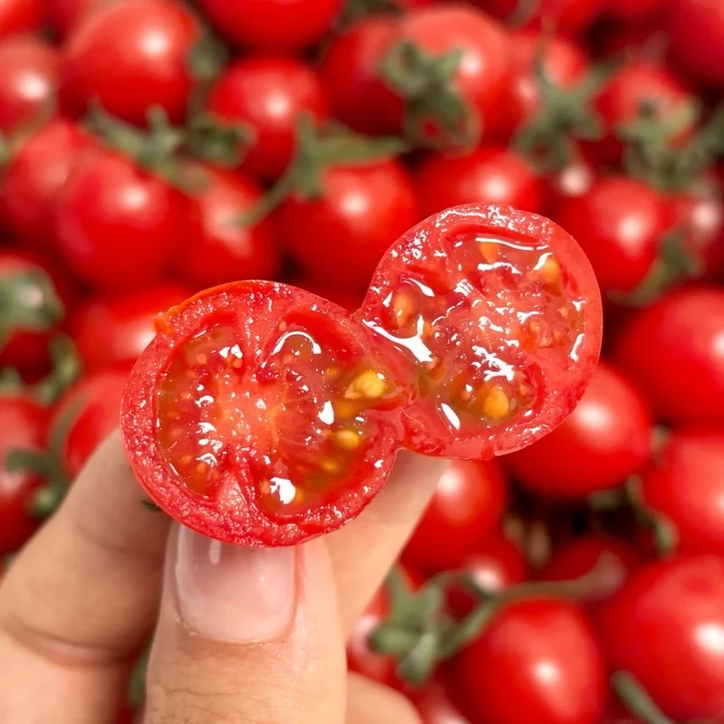 顺丰快递 山东自然熟釜山88小番茄2/3斤 个头较小 软甜多汁