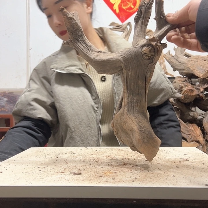 柏木川****2我们的生活也