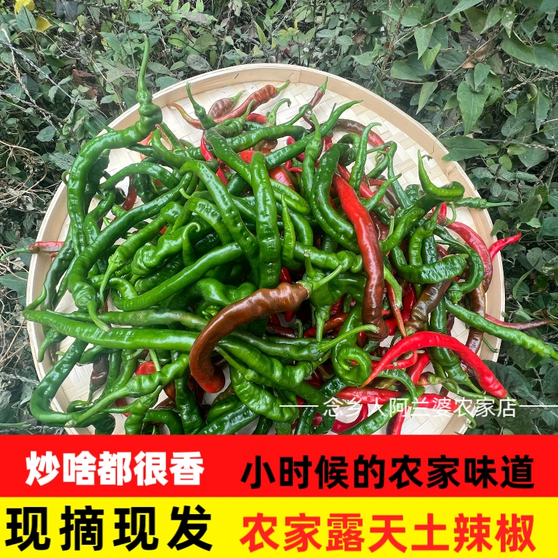 新鲜辣椒江西农家现摘特辣薄皮青椒超辣尖椒虎皮微辣