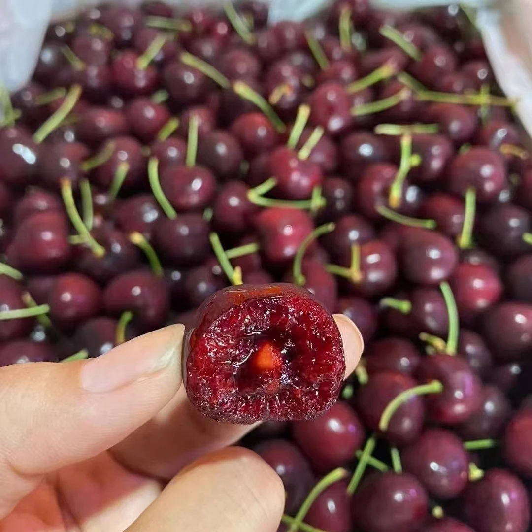 空运美国skeena车厘子脆甜多汁新鲜水果顺丰