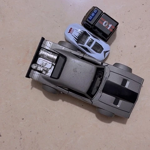 香榧木夜***承Ggfhgfhgghggvv