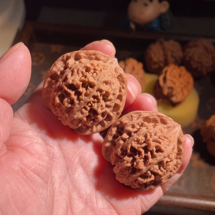 核桃红皮满天星全品