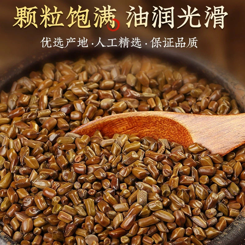 其芯百草 生决明子 正宗决明子 熟决明子