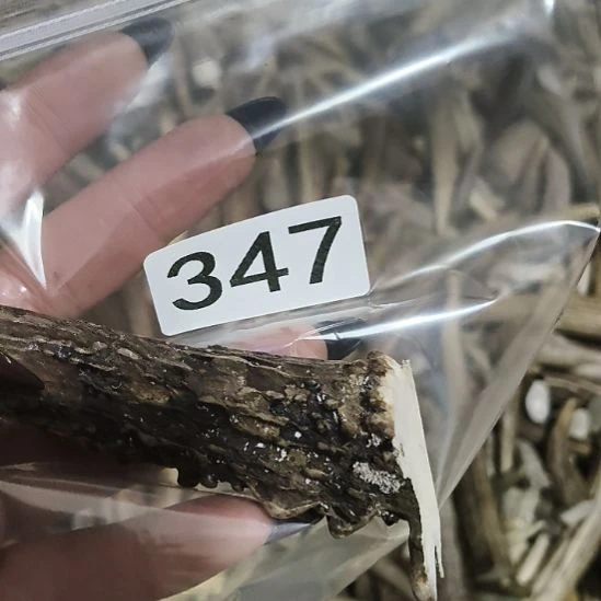 *****鹿角鹿角鹿角鹿角鹿角鹿角