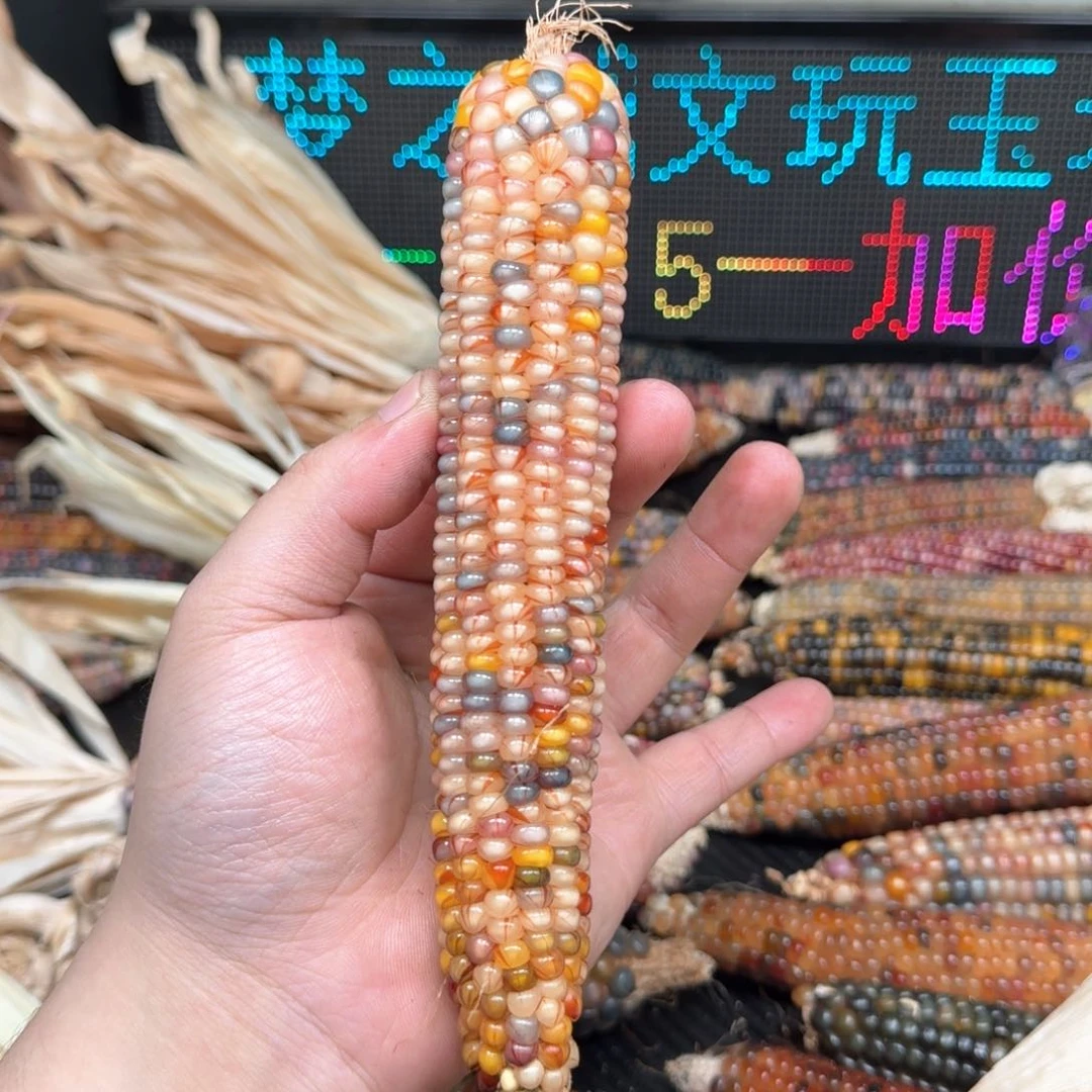柏香籽/百香籽吊坠用****3