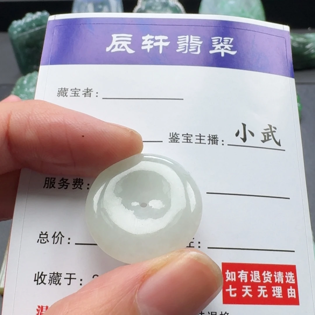 翡翠未镶嵌颈饰   7