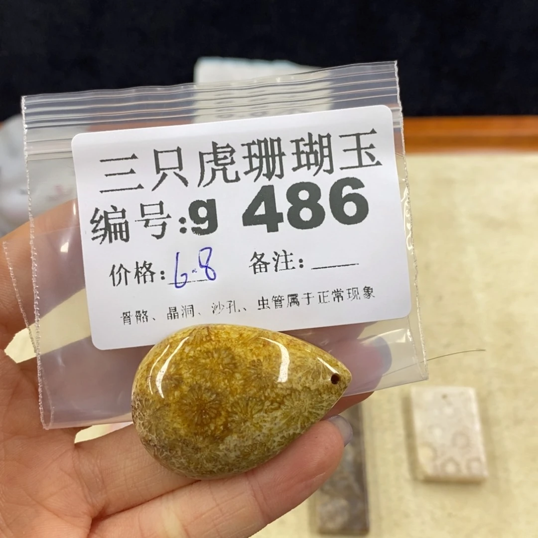 硅化珊瑚（珊瑚玉）未镶嵌1智***膜