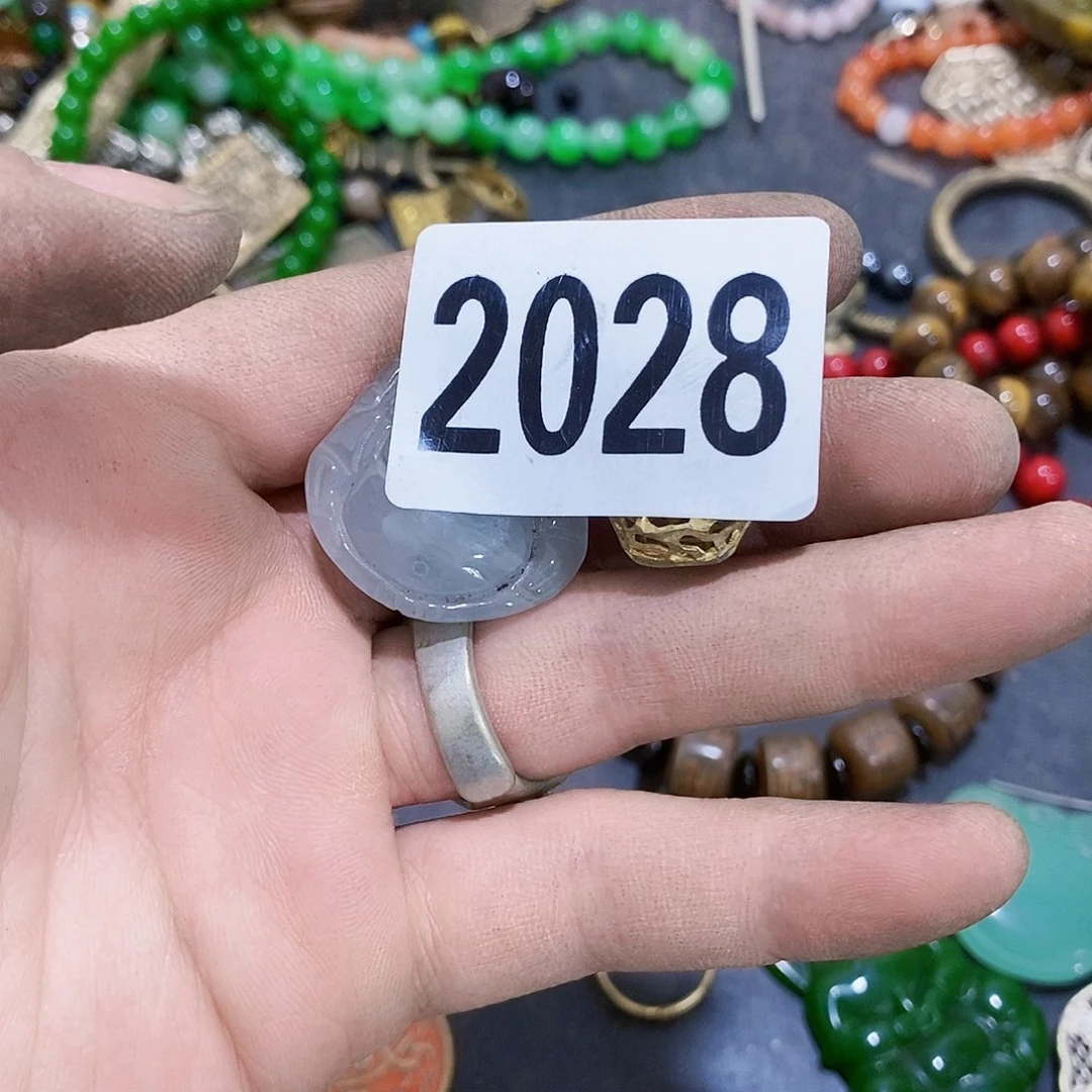 用***2光明的未来是一2028