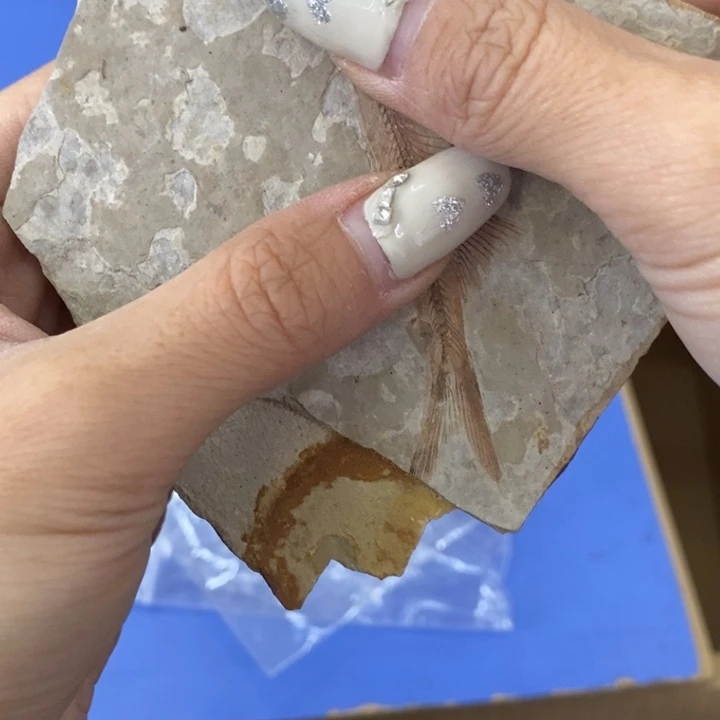 玲珑堂陶瓷茶具日化西*