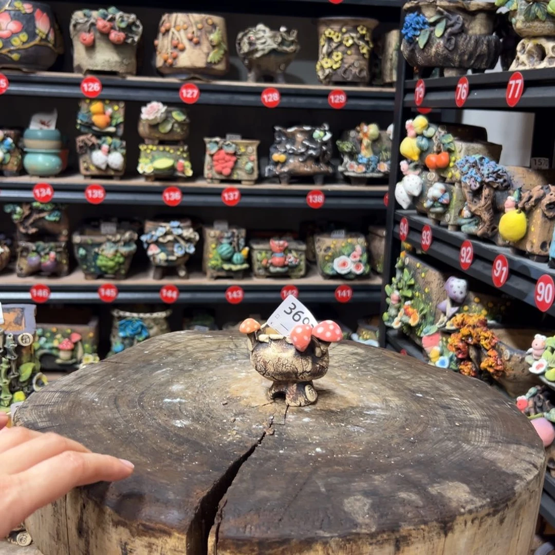 3692 ，口3.5高6雨田