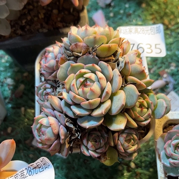 幸运的是我还没遇到