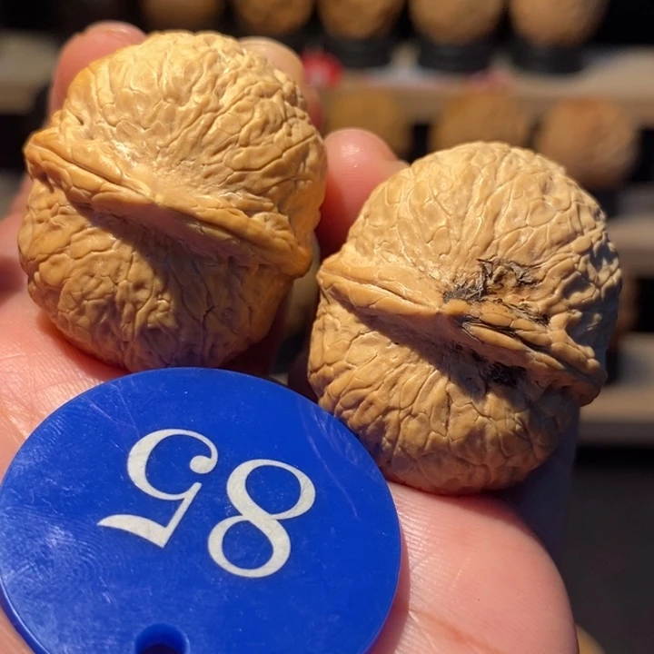 ༺***༻木质类蛇皮龙珠37尺寸