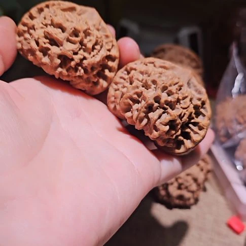 吊坠文玩核桃51龙鼎管