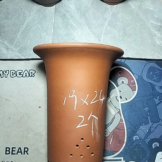 大红兰花两个花盆