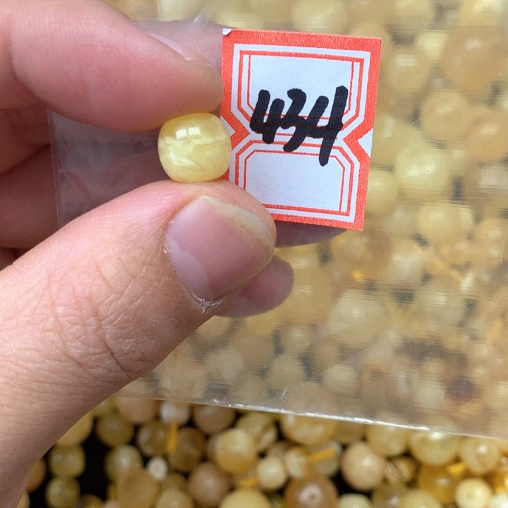 裸石琥珀未镶嵌10