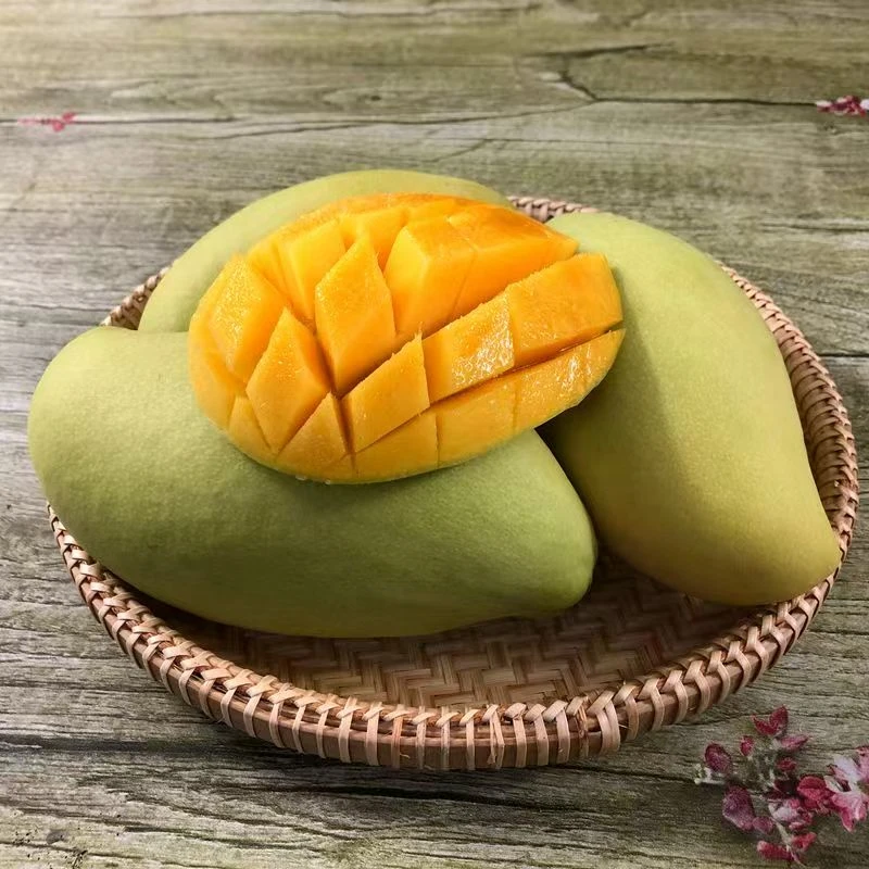 【需要催熟】产地直发新鲜现摘玉芒青皮芒果带箱三斤装单果250g起
