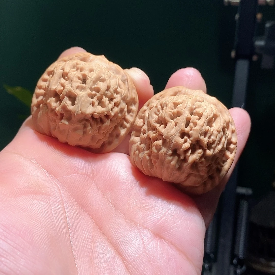 福***哥把件文玩核桃43莲花全品