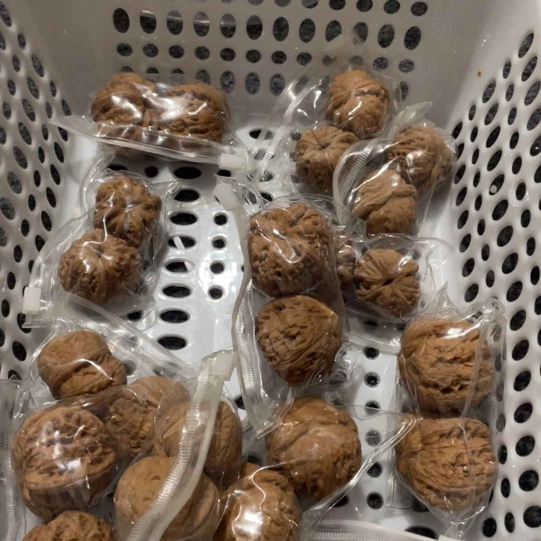 核桃平谷元宝默认瑕疵