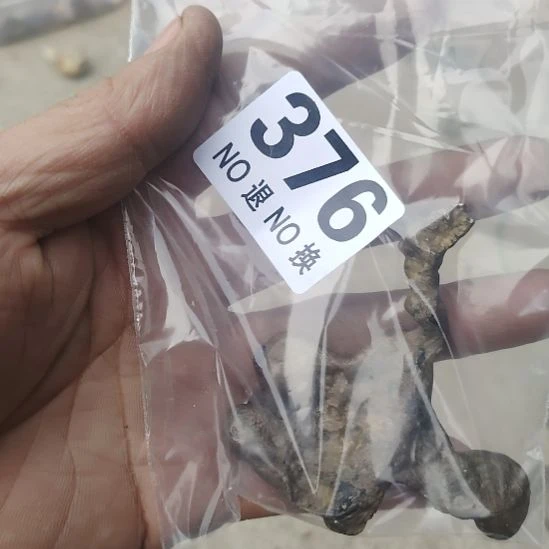 舍***得金属朋友拍的老物件持续中