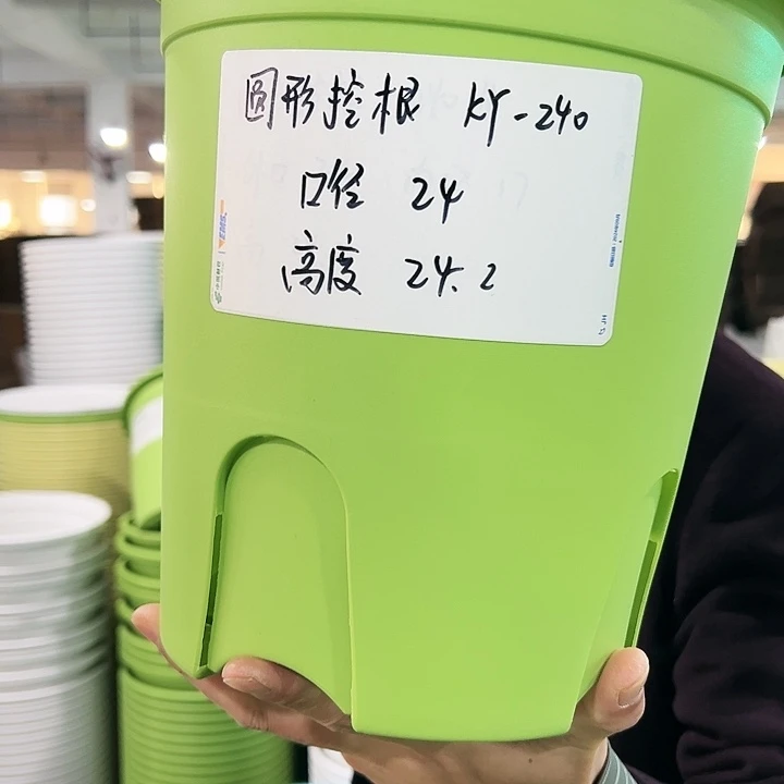 正品圆控口24高24果绿8只无托