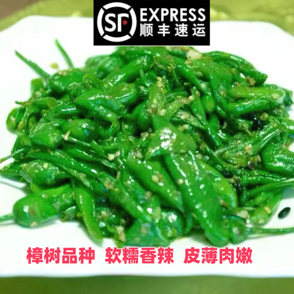 【顺丰包邮】正宗樟树软香辣椒湖南辣椒软糯薄皮小青椒香辣虎皮辣椒