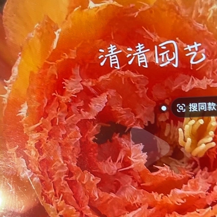 清清火烧芸侧牙有礼品