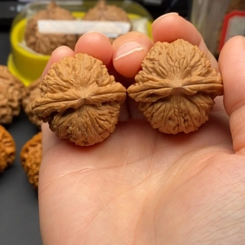 文玩核桃吊坠36白狮子精品