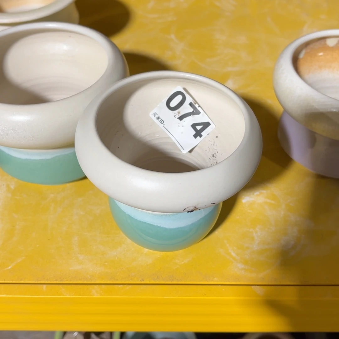 我****景德镇多肉花盆074