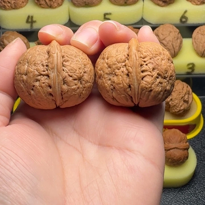 把件文玩核桃25号车