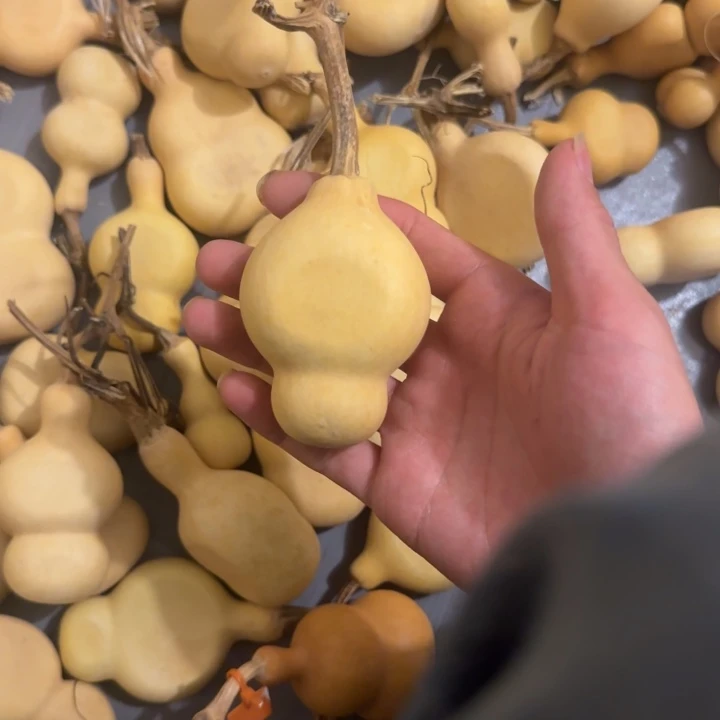 爱***儿大叶紫檀（黑酸枝木类）