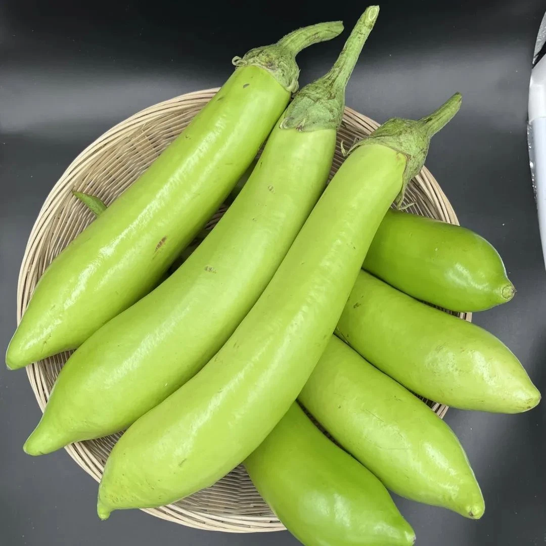 助农价格上海金山本地青茄子