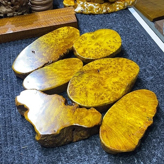 平*君香杉干泡干泡干泡