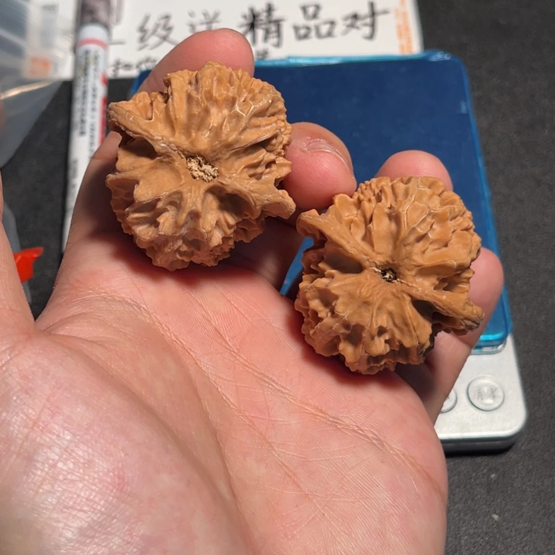 42全品原桩红皮不打药苹果圆
