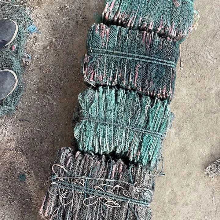 千***猪虾虾1455485855588