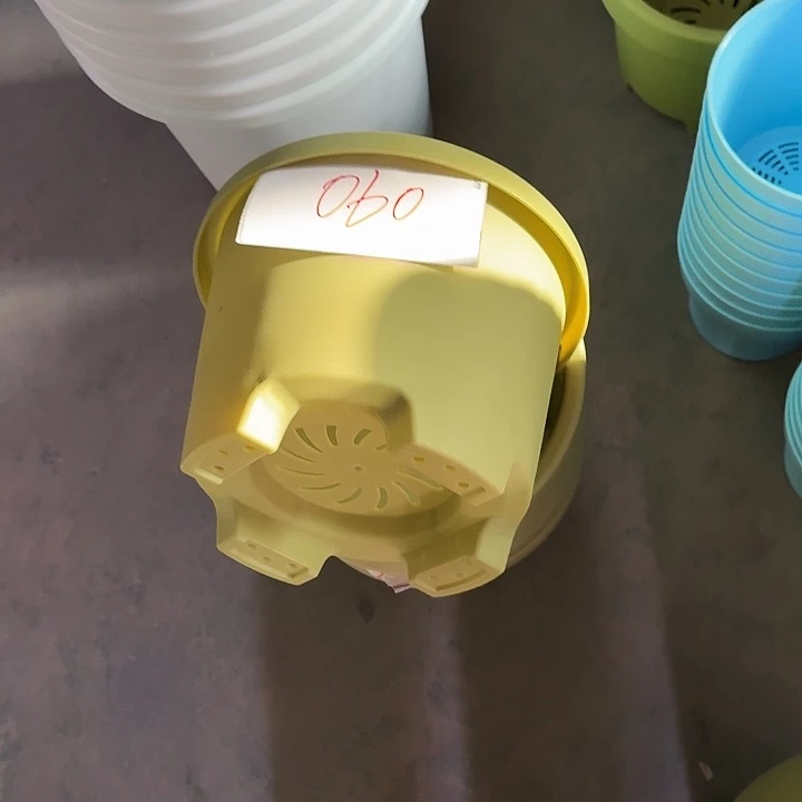 编号是060号的060号的