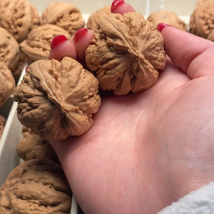 上***件文玩核桃把件霸王龙