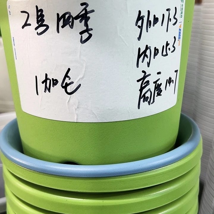 特价2号口17高14白色10只无托