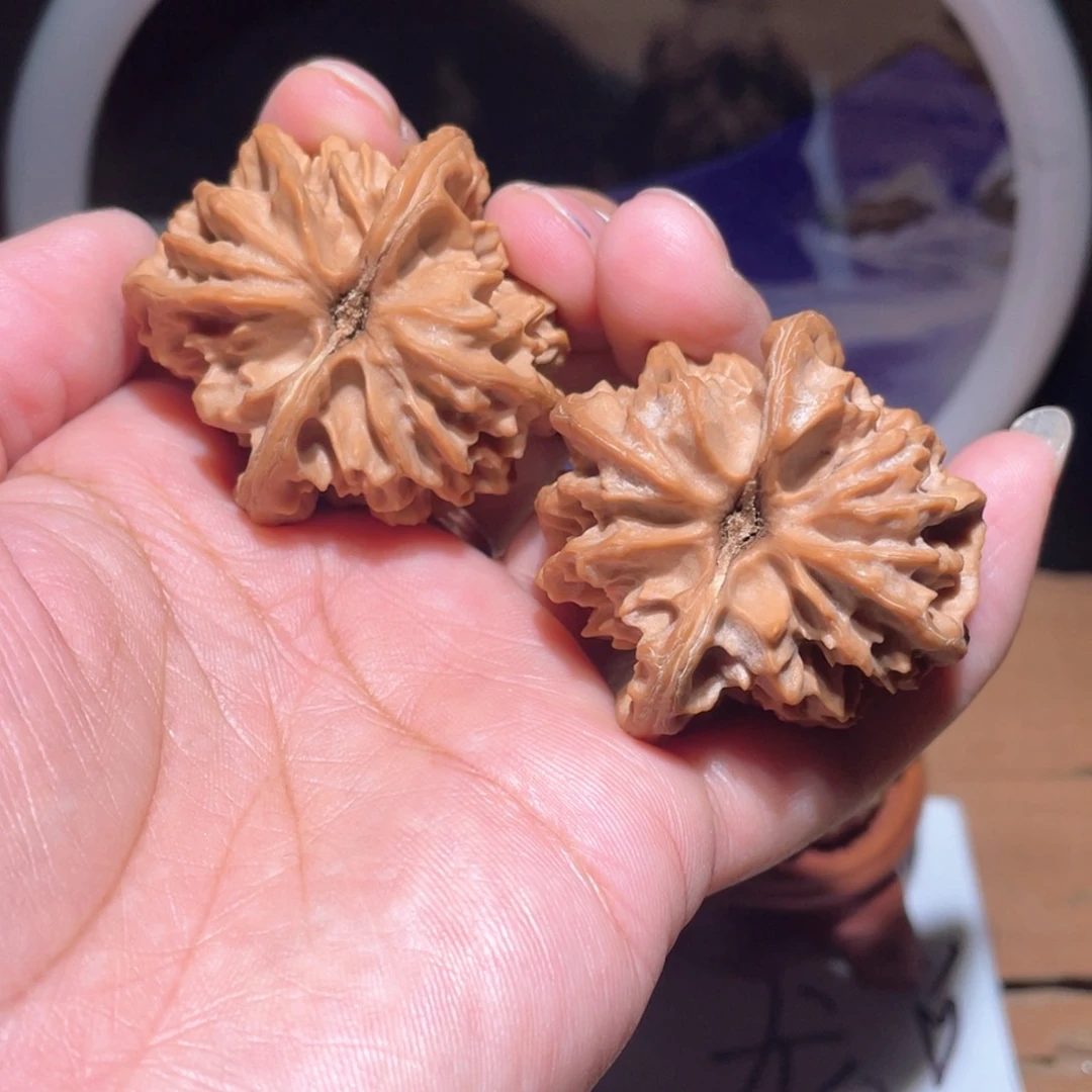 把件核桃M****HS301。 41尺。大龙