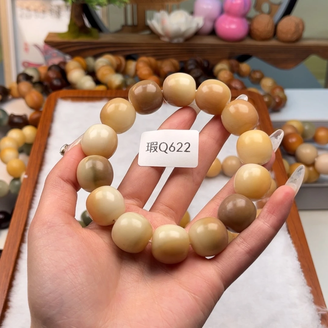 菩提根/象牙果手串曙*@17mm瑕桶珠一串q622
