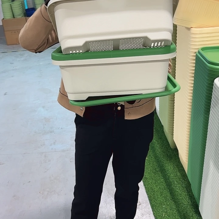 特价方菜盆长38宽28混色带托3只