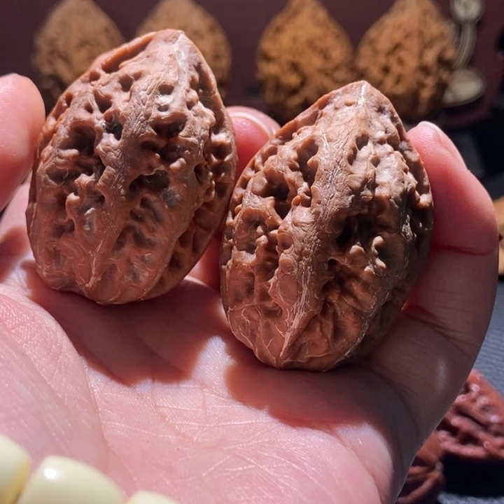 核桃小霸王龙楸玥核56